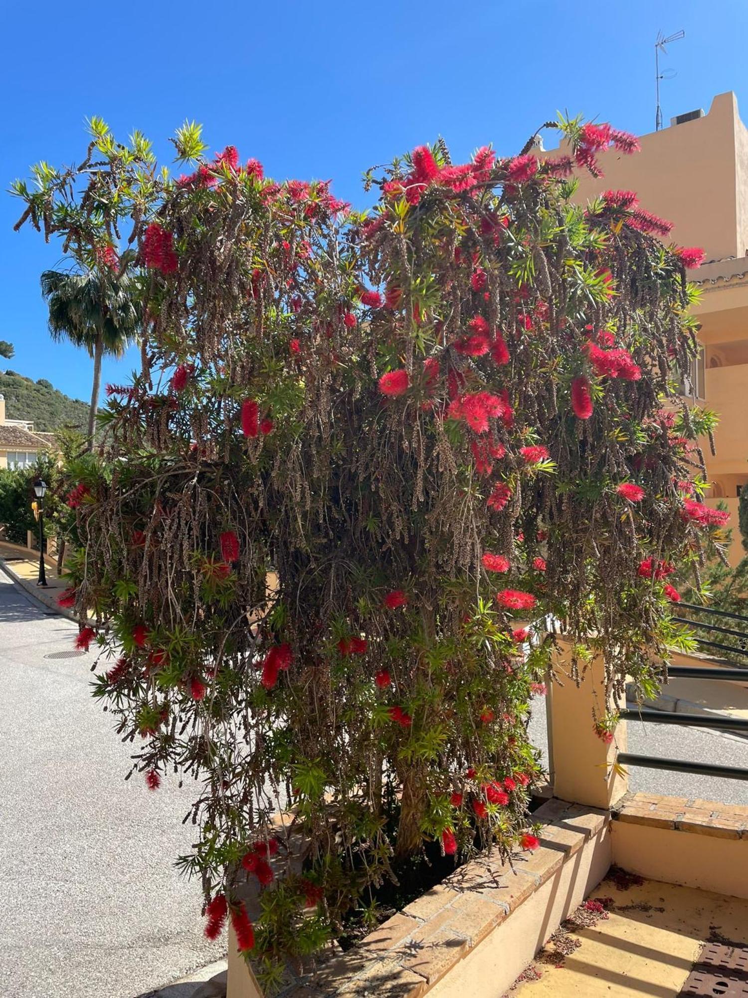 Santa Maria Village, Elviria, Marbella Bagian luar foto